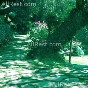 Hotel Splendido 48